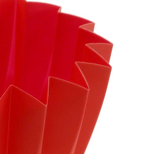 Floristik24 Kruka Adonis Röd 11cm 20 st