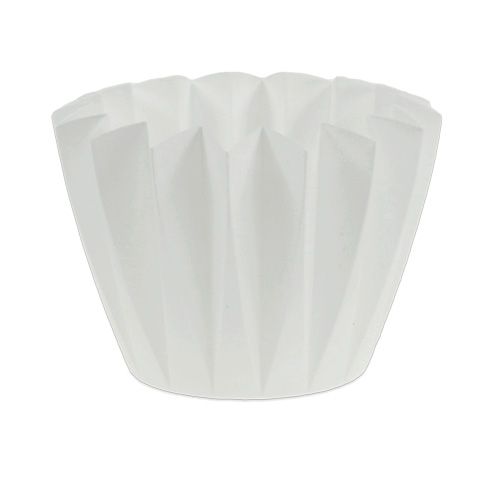 Floristik24 Kruka Adonis vit 14cm 20 st