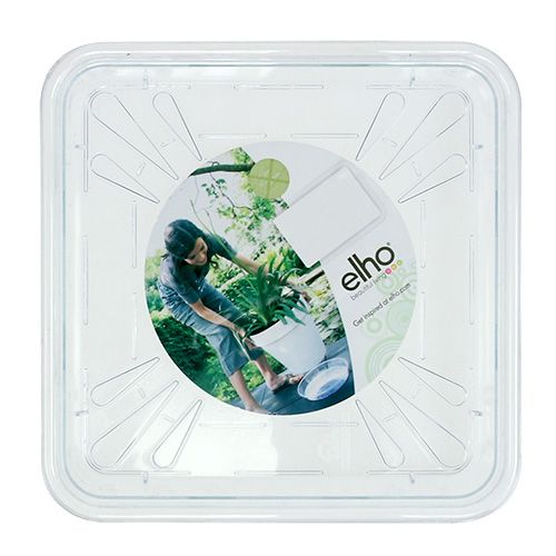 Floristik24 Underlägg 20x20 cm transparent, 1 st