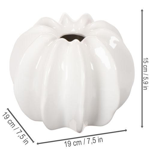 Pumpa-dekorativ vas, glansig, höstdekoration för vardagsrum, 19 cm | Floristik24.se