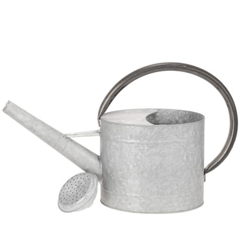 Vintage vattenkanna i metall, silvergrå, snygg trädgårdsdekoration, blomvas, L53cm H29cm | Floristik24.se