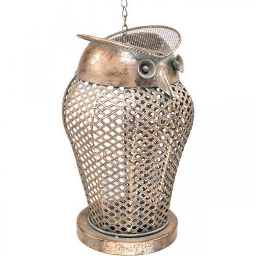 Floristik24 Vintage Lantern Owl Trädgårdslykta värmeljushållare Guld H29cm