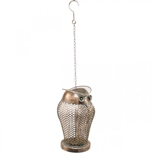 Floristik24 Vintage Lantern Owl Trädgårdslykta värmeljushållare Guld H29cm