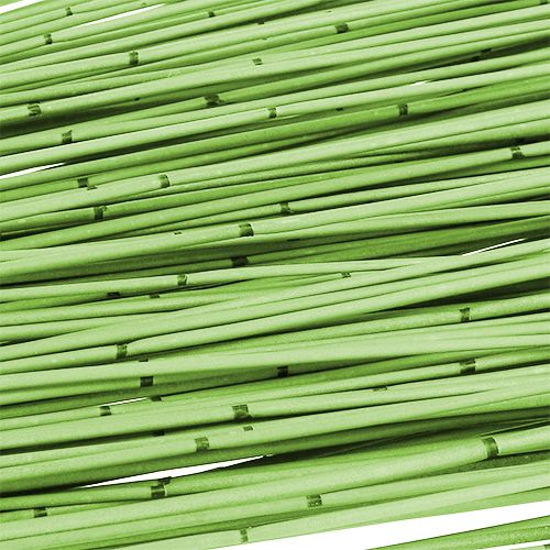 Floristik24 Vlei Reed 400g ljusgrön