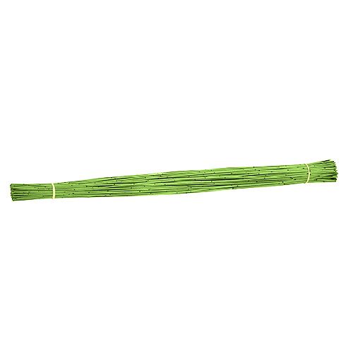 Floristik24 Vlei Reed 400g ljusgrön
