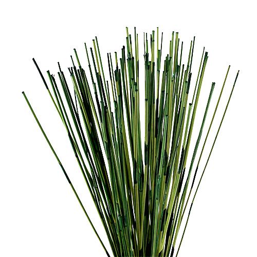 Floristik24 Vlei Reed 400g mörkgrön