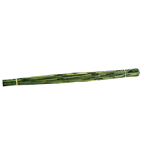 Floristik24 Vlei Reed 400g mörkgrön