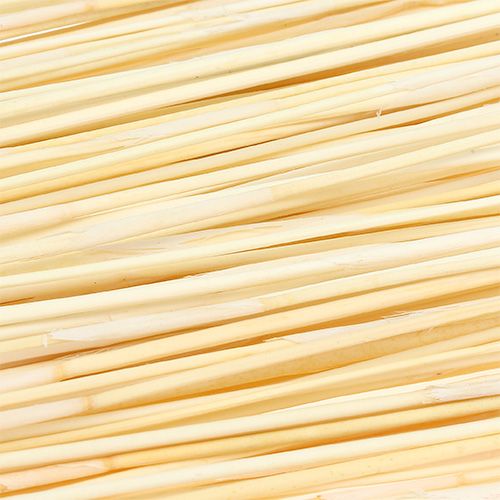 Floristik24 Vlei Reed 400 g blekt