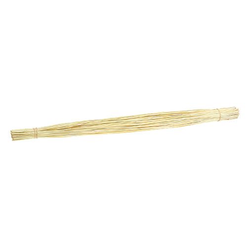 Floristik24 Vlei Reed 400 g blekt