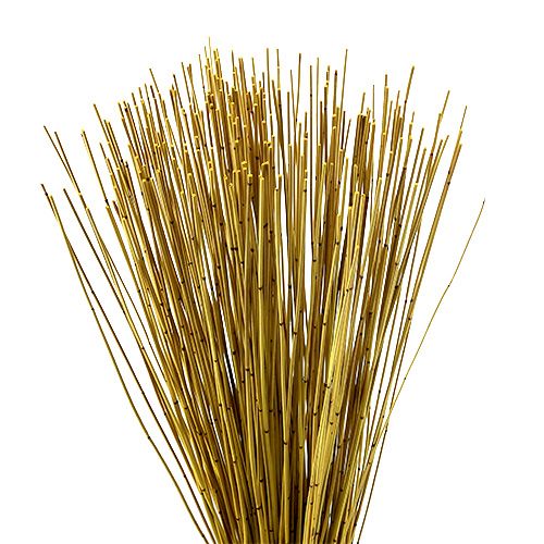 Floristik24 Vlei Reed 400g gul