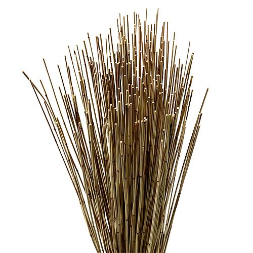 Floristik24 Vlei Reed 400g naturligt