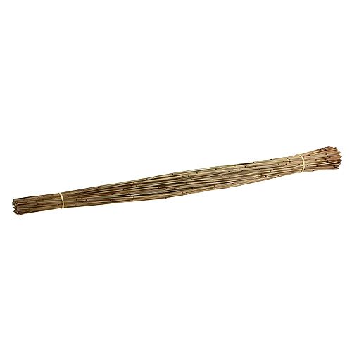 Floristik24 Vlei Reed 400g naturligt