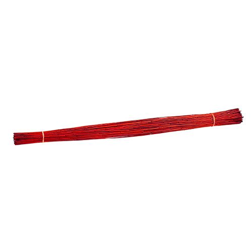 Floristik24 Vlei Reed 400g Röd