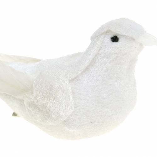 Floristik24 Duva flockad med fjädrar och klämma vit 13,5cm 4st