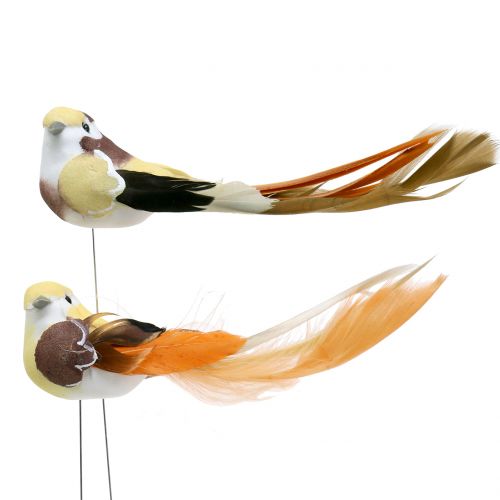 Floristik24 Fågel på tråden brun / orange 14 cm 12st