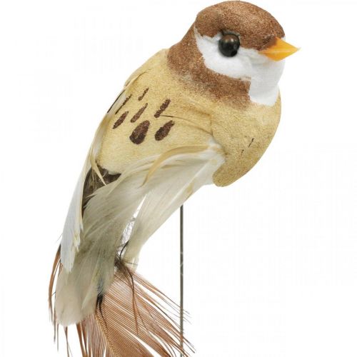 Floristik24 Vårdekoration, minifåglar, dekorativa fåglar på tråd brun, beige H2,5cm 24 st