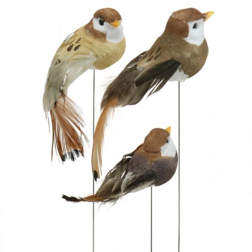 Floristik24 Vårdekoration, minifåglar, dekorativa fåglar på tråd brun, beige H2,5cm 24 st