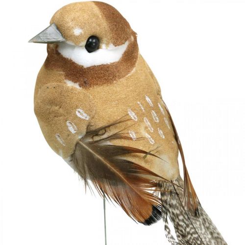 Artikel Fjäder, fågel på tråd, deco fåglar naturfärger H7,5cm 12st