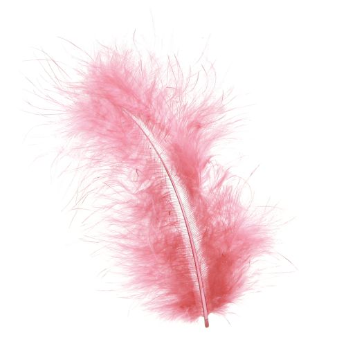 Artikel Fågelfjädrar hantverksfjädrar i rosa vårpåsk 20g