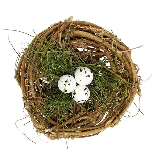 Floristik24 Fågelbo med ägg Ø9cm 6st