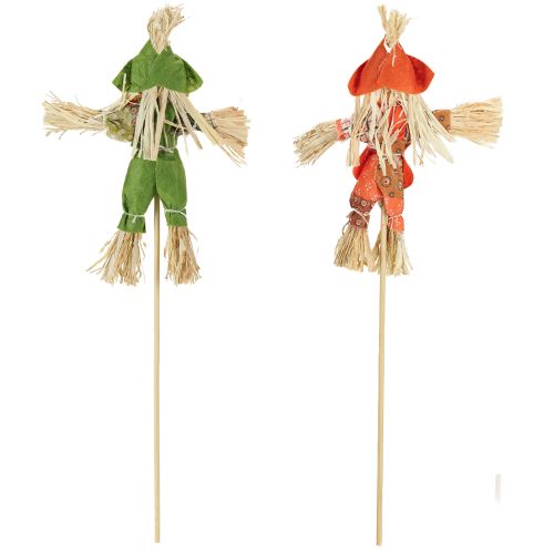Artikel Fågelskrämmablomstänger gröna orange H16cm 16 st