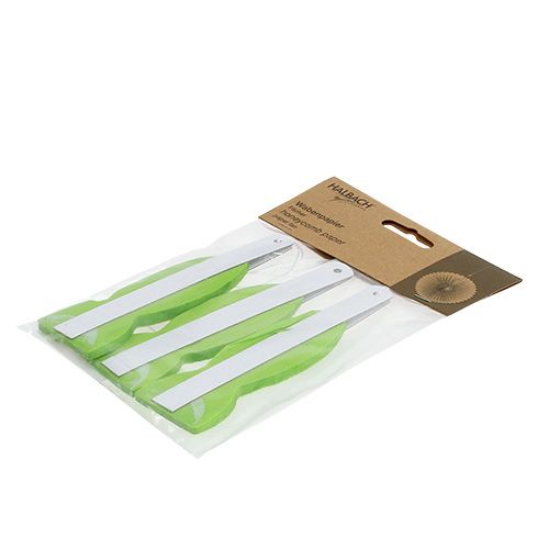 Floristik24 Honungskaka pappersblomma grön Ø20cm 3st