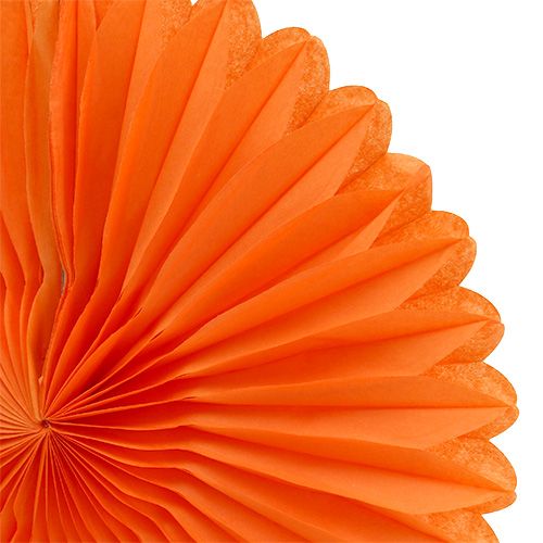 Floristik24 Honungskaka pappersblomma orange Ø20cm 3st