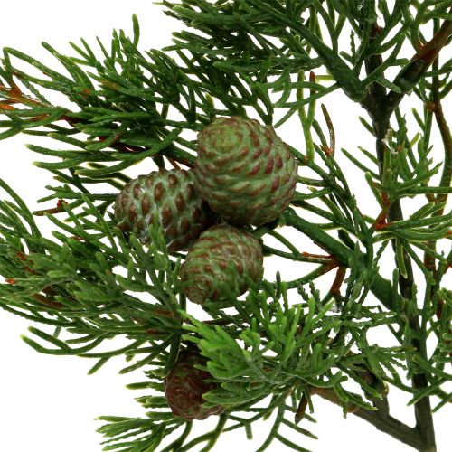 Floristik24 Enskgren med kottgrön 39 cm 3st