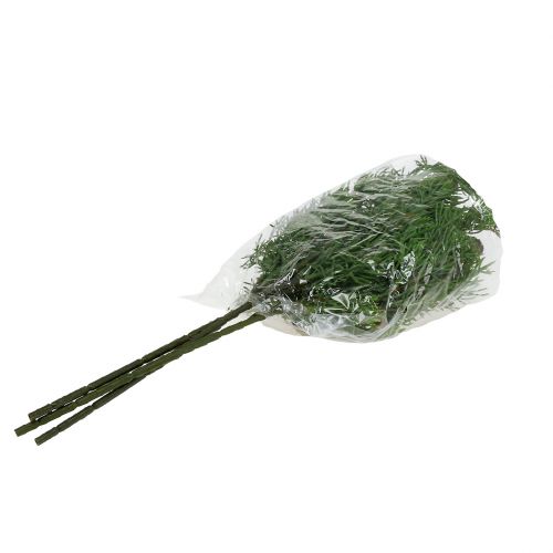 Floristik24 Enskgren med kottgrön 39 cm 3st