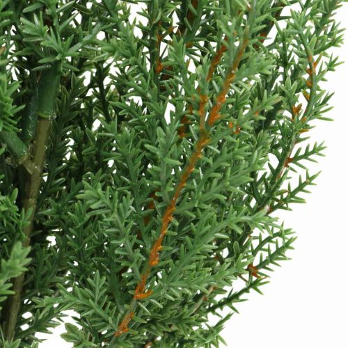 Floristik24 Enbärgren konstgrön dekorativ gren Jul 39cm 6st