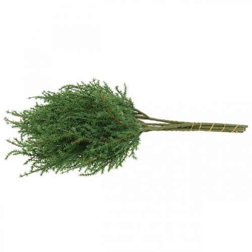 Floristik24 Enbärgren konstgrön dekorativ gren Jul 39cm 6st