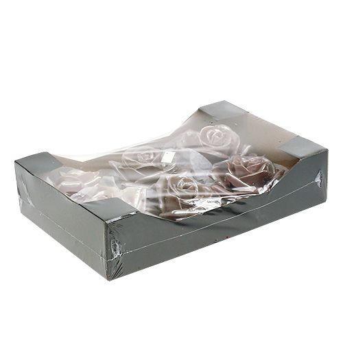 Floristik24 Vaxrosa champagnemix Ø10cm 6 st