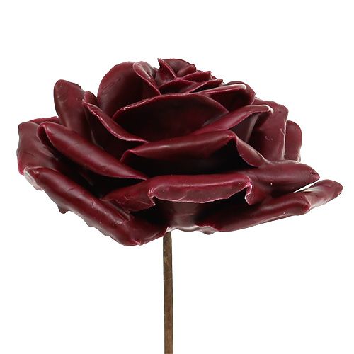 Floristik24 Vaxros mörk röd Ø10cm 6st