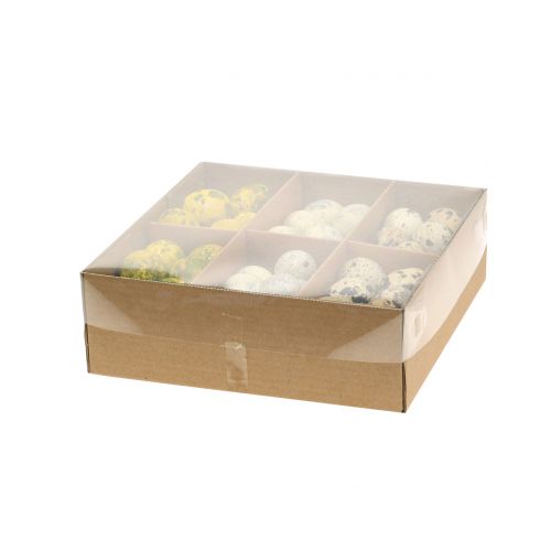 Floristik24 Vaktelägg sortiment gul, natur 3cm 62st