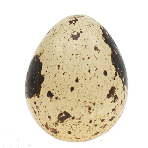 Floristik24 Vaktelägg sortiment gul, natur 3cm 62st