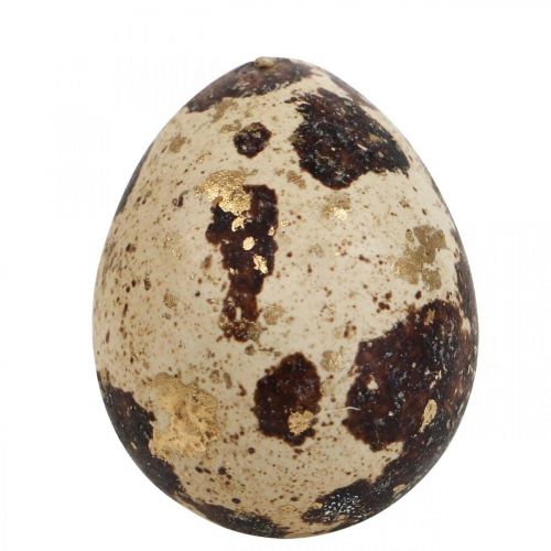 Floristik24 Vaktelägg Deco Blåsta ägg Natur/Guld 3cm 12st