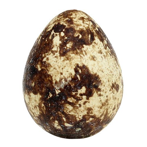 Artikel Vaktelägg som dekoration tom naturell 50 st