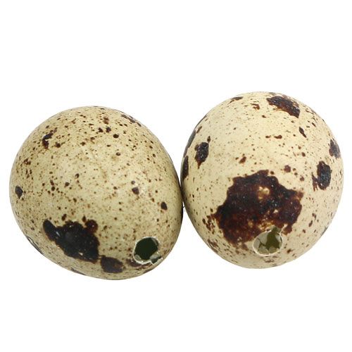 Floristik24 Vaktelägg natur 3-3,5cm 12st