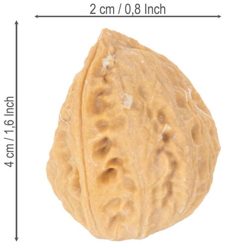 Valnötter till dekoration, naturprodukt, 3-4 cm, 300 g | Floristik24.se