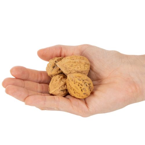 Valnötter, en naturprodukt för bordsdekoration och gör-det-själv-projekt. Naturliga valnötter, 4-5 cm, 300 g. | Floristik24.se
