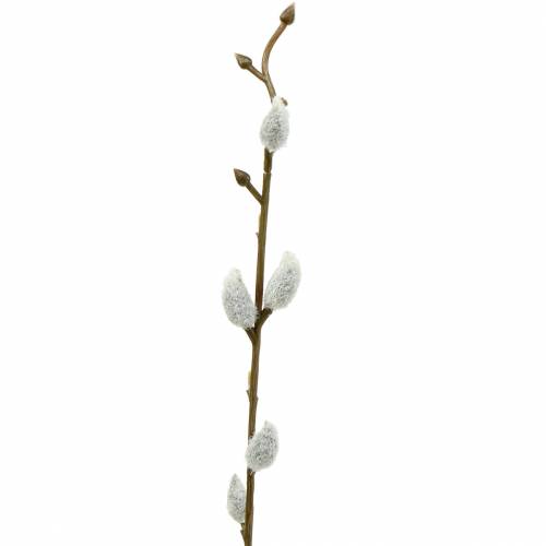 Floristik24 Pussy pil knippe L54cm 3st