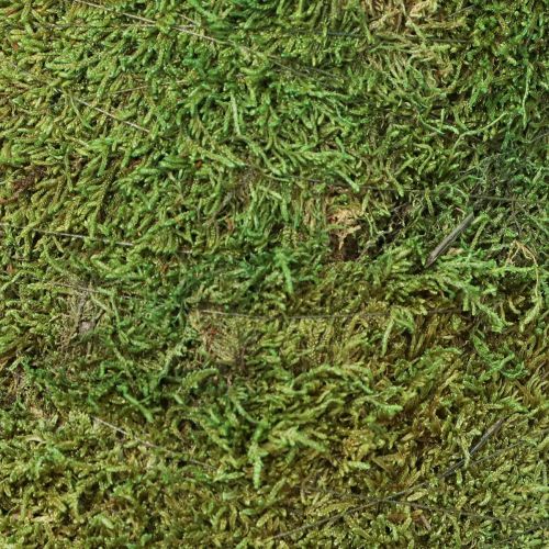 Artikel Julgran mossdekoration i grön natur Ø30cm H100cm