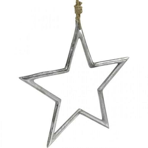 Floristik24 Juldekorationsstjärna, adventsdekoration, stjärnhänge silver B24,5cm