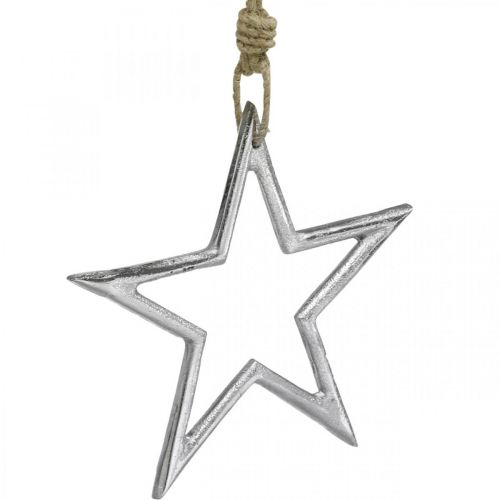 Floristik24 Juldekorationsstjärna, adventsdekoration, stjärnhänge silver B15,5cm