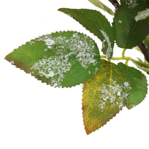 Floristik24 Julkvistar med röda bär, vinterdekoration, harpbärsröd insnöad L58cm
