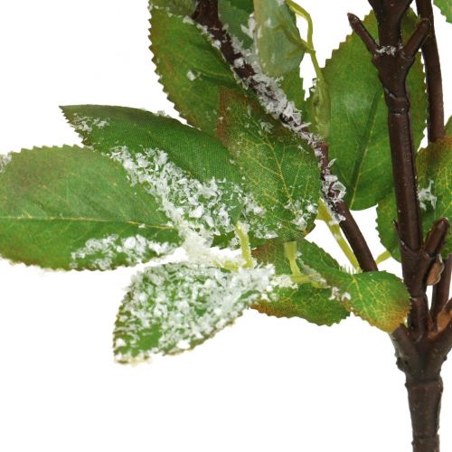 Artikel Julgrenar, snöbär, konstgjord växt insnöad L58cm