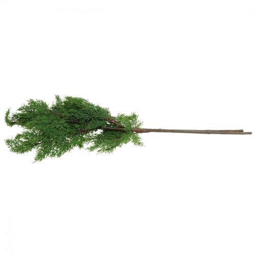 Floristik24 Cypressgrenar konstgjorda deco-grenar konstgjorda växt 72cm 2st