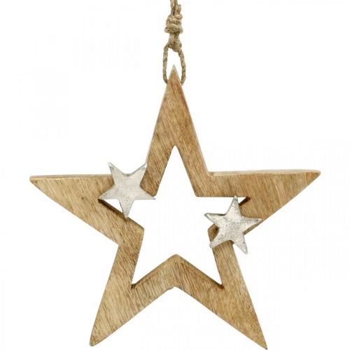 Floristik24 Julstjärna att hänga Stjärna trädekoration Jul H22cm