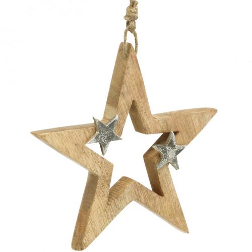 Artikel Julstjärna att hänga Stjärna trädekoration Jul H22cm