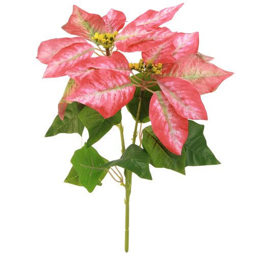 Artikel Konstgjord Julstjärna Röd Rosa L35cm 6st 2 klasar